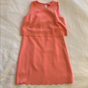 Loft Scalloped Illusion Dress